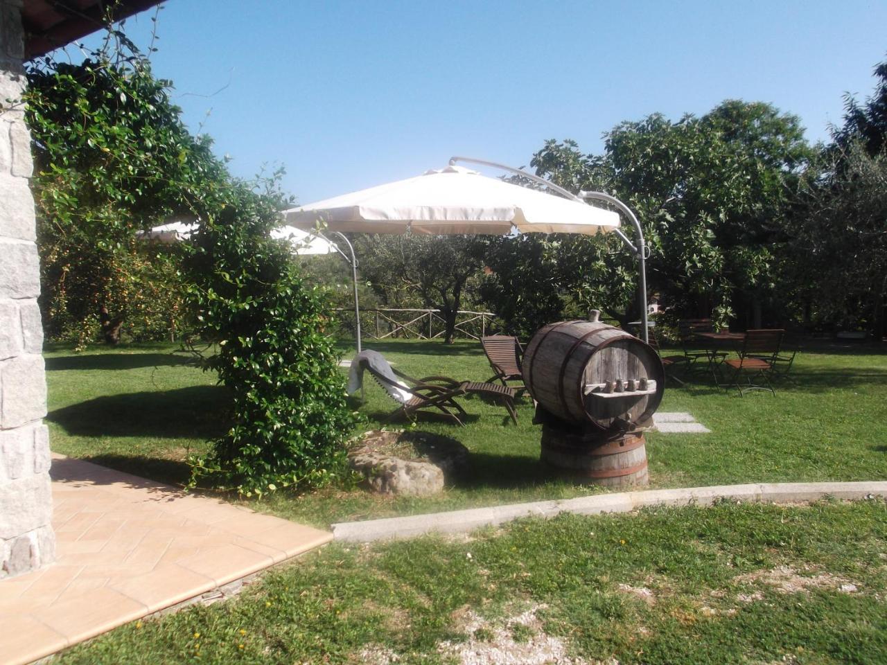 Agriturismo Casal Grande Canepina Экстерьер фото