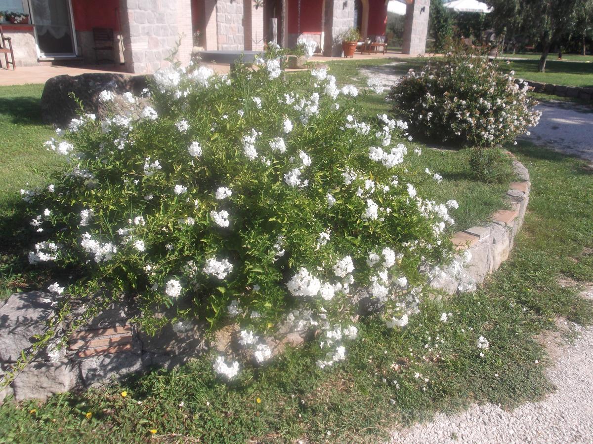 Agriturismo Casal Grande Canepina Экстерьер фото