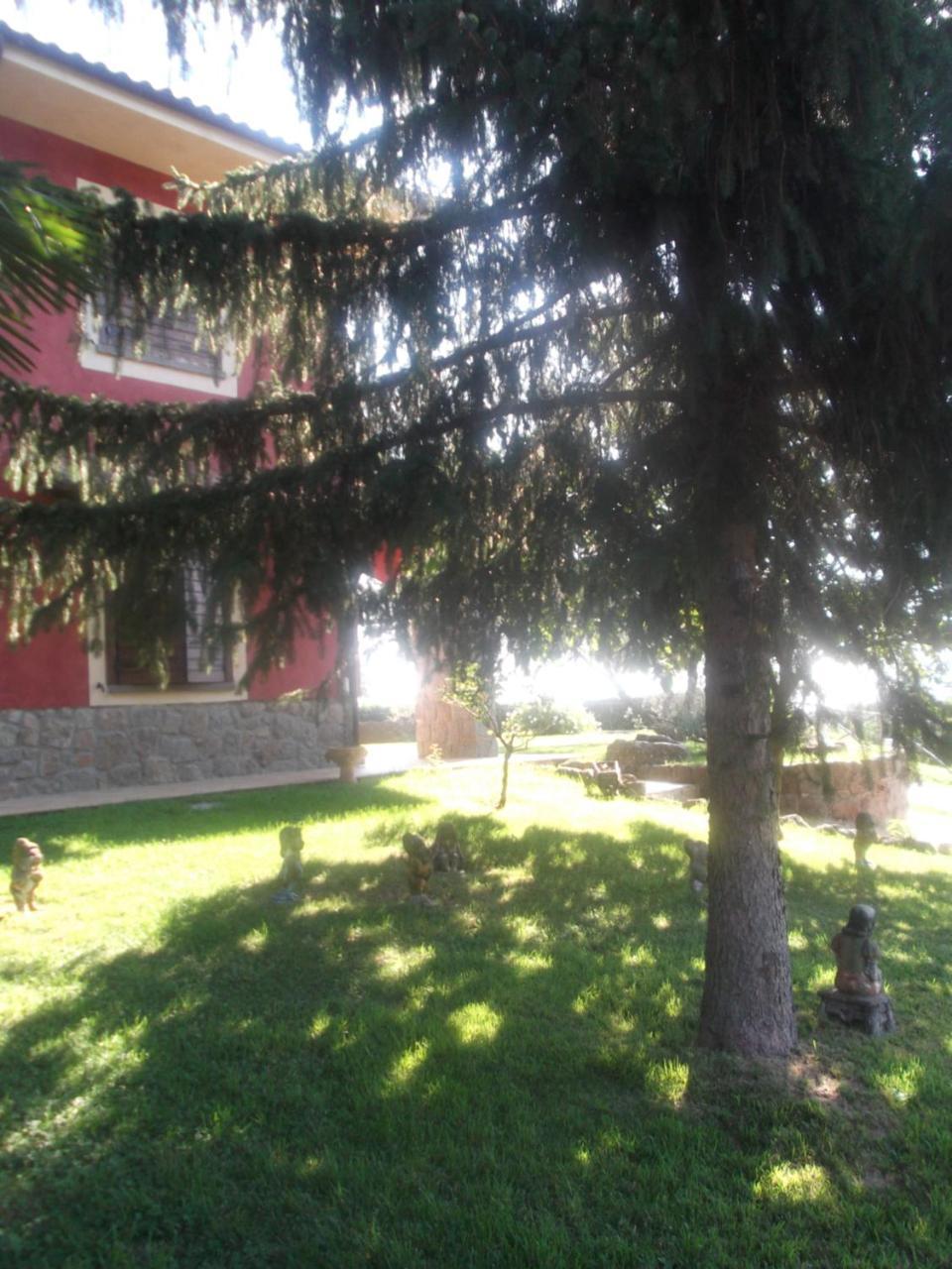 Agriturismo Casal Grande Canepina Экстерьер фото